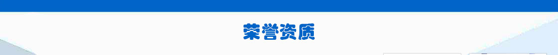 我們的實力
